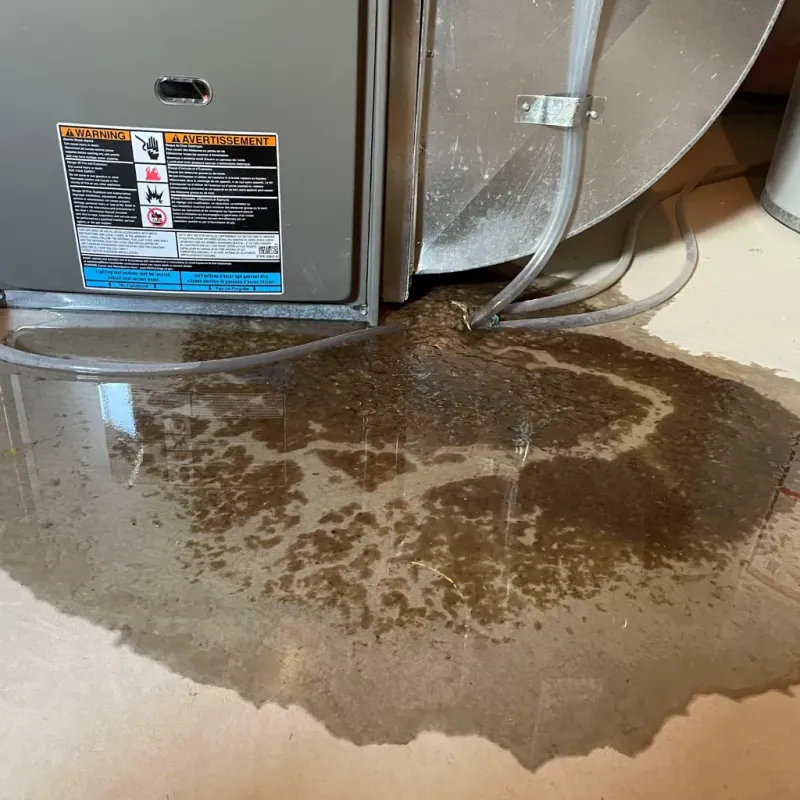 Appliance Leak Cleanup in Beatty, NV